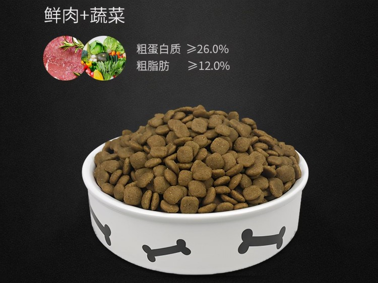 这些食物是狗狗的